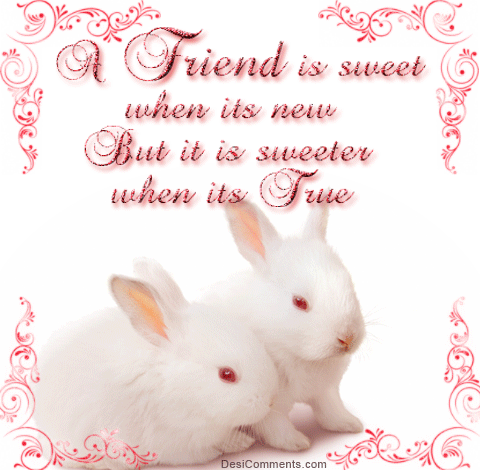 A Friend Is Sweet When It's New...