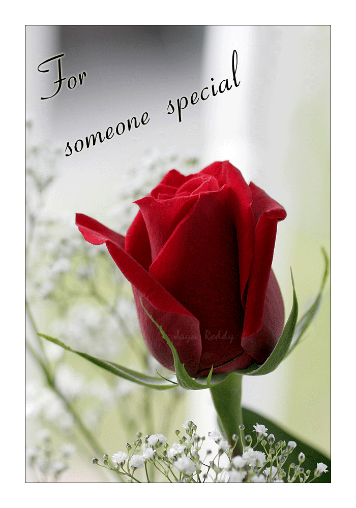 For Someone Special DesiComments