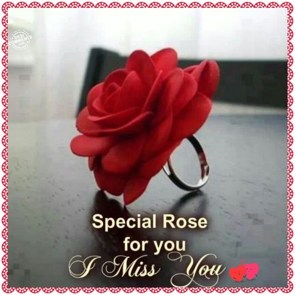 Special Rose For You - I Miss You