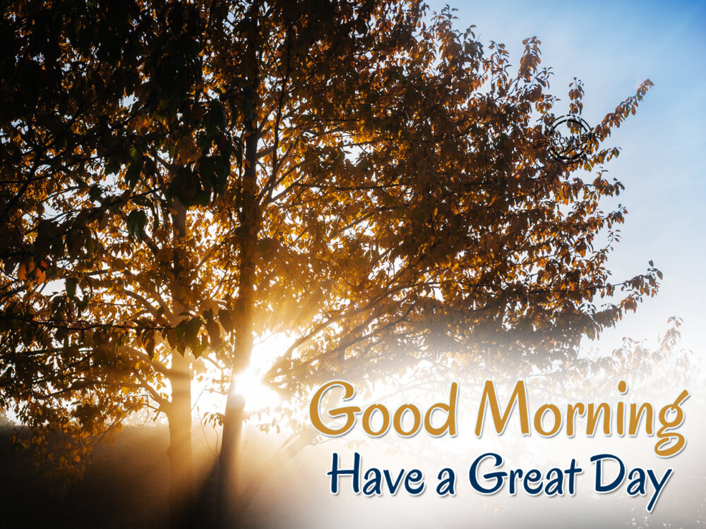 have-a-great-day-good-morning-desicomments