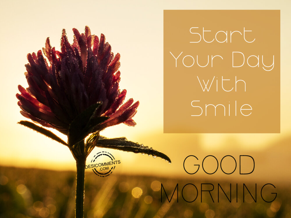 Start Your Day With Smile DesiComments