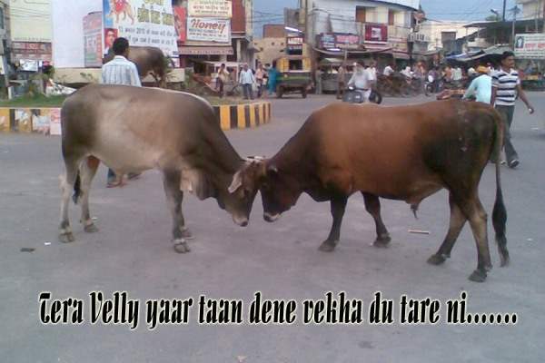 Tera velly yaar taan dinne dikha dau taare…