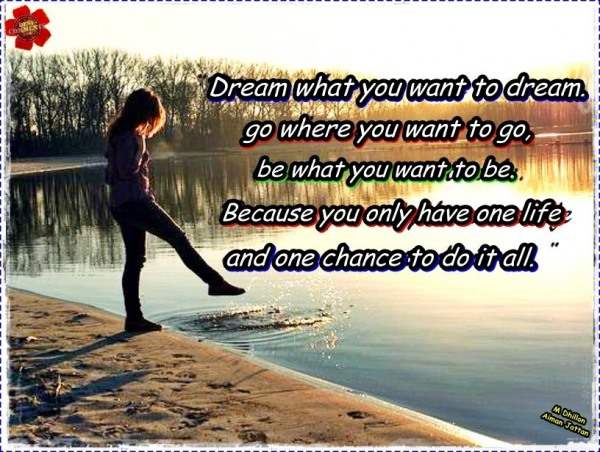 Dream what you want to dream - DesiComments.com