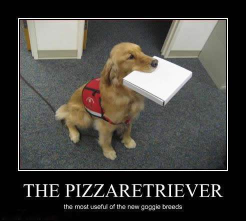 The Pizza Retriever