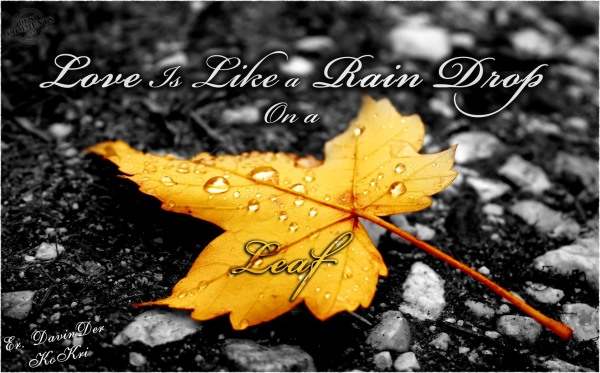 Love is like a rain drop on a leaf