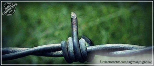 Funny Barbed Wire