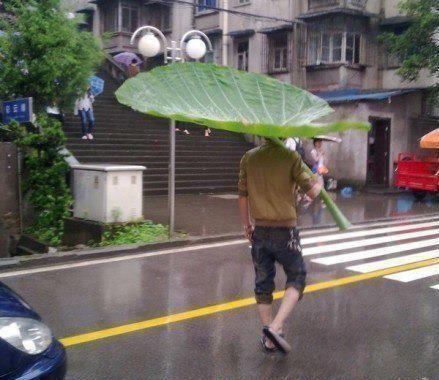 Awesome Umbrella