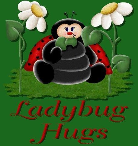 Ladybug hugs