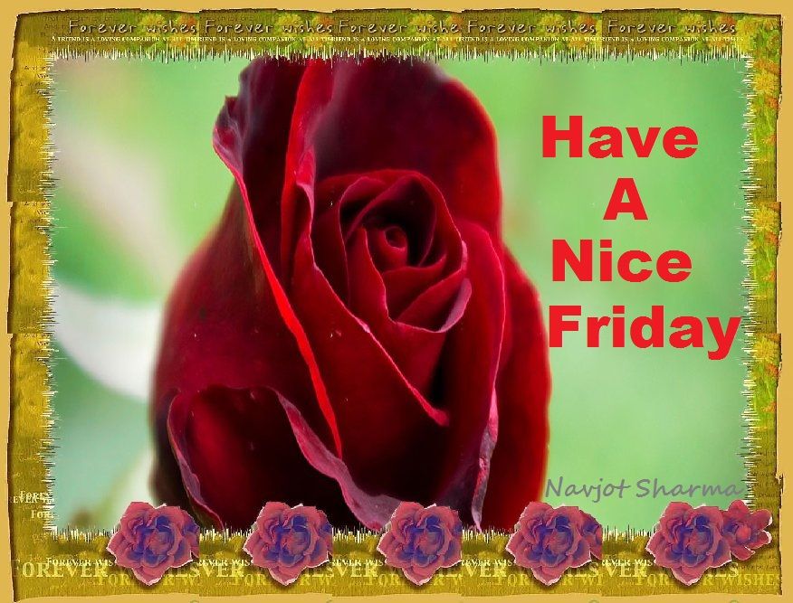 Have A Nice Friday DesiComments