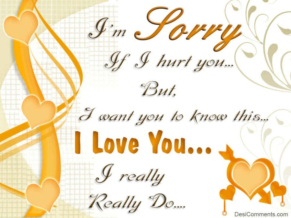 I Am Sorry If I Hurt You DesiComments