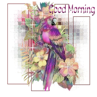 PicMix GIF Good Morning | Good Evening Red Heart GIF - PicMix | Good evening  love, Good evening, Good evening greetings
