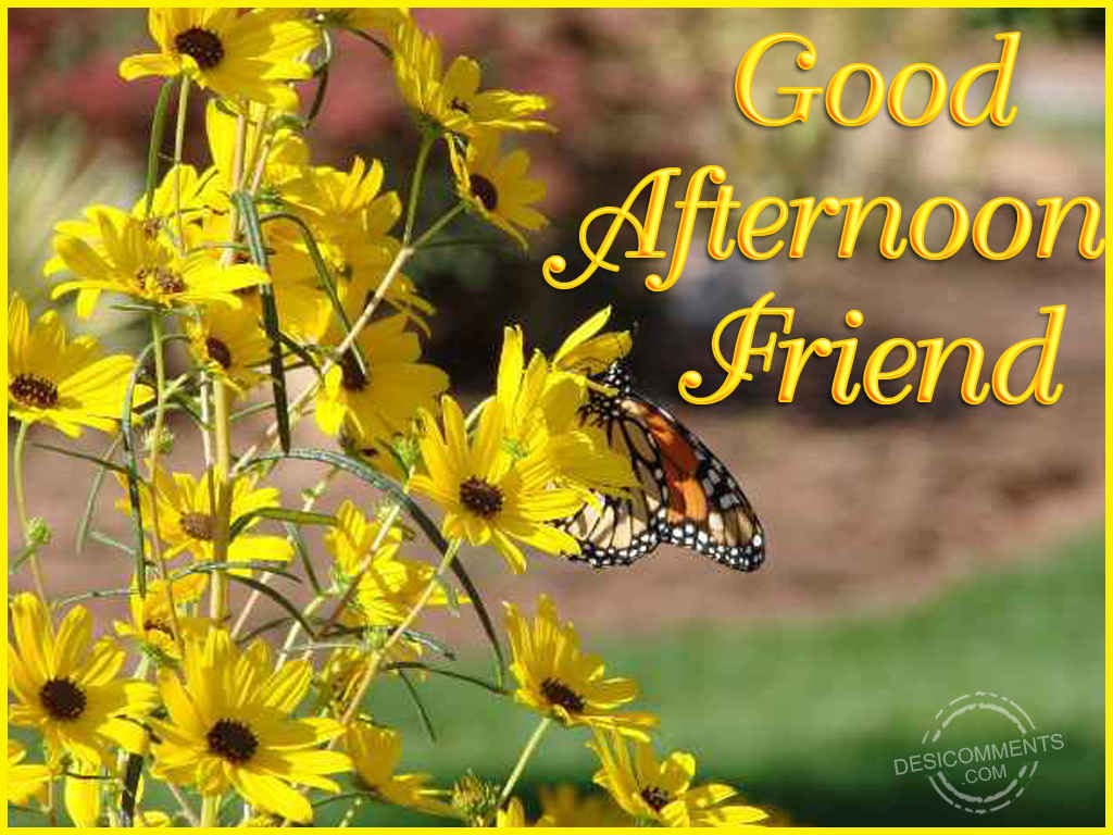 Good Afternoon Friend - DesiComments.com