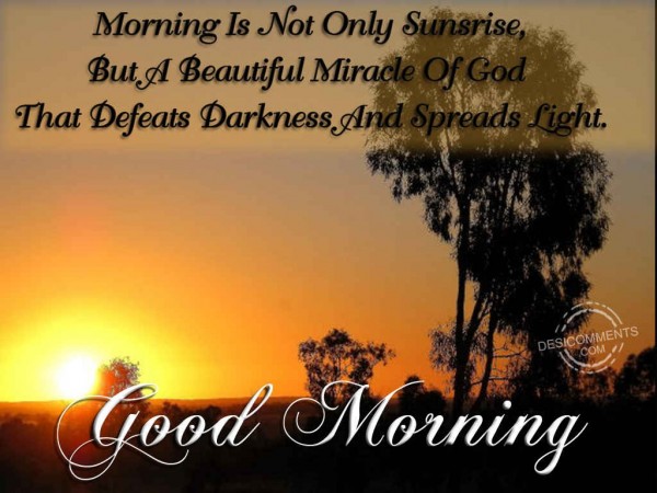 Morning Defeats Darkness And Spreads Light