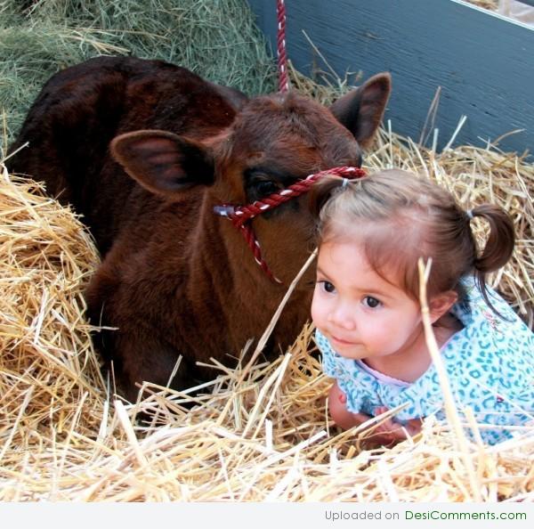 Girl With Cow