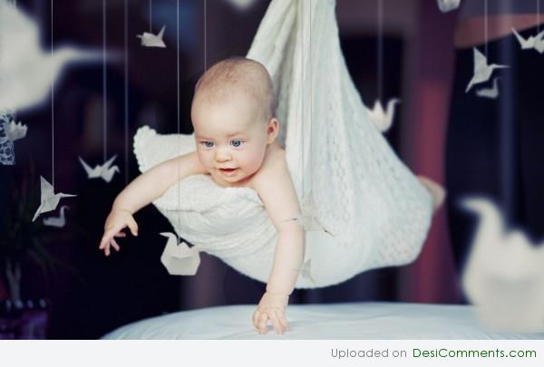 Hanging Cute Baby