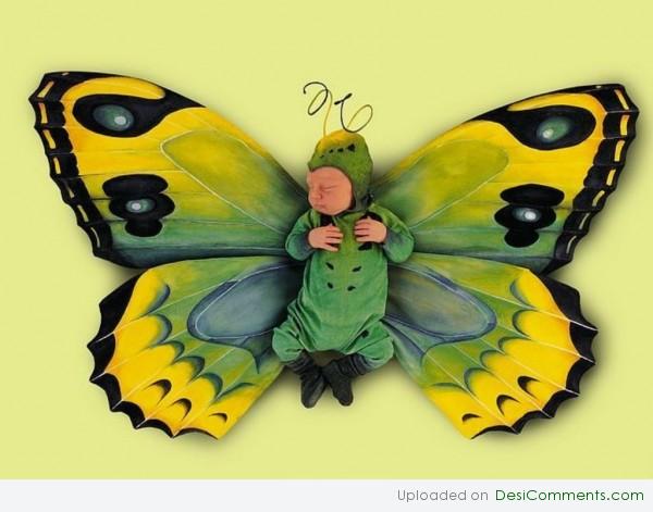 Buttertfly Baby