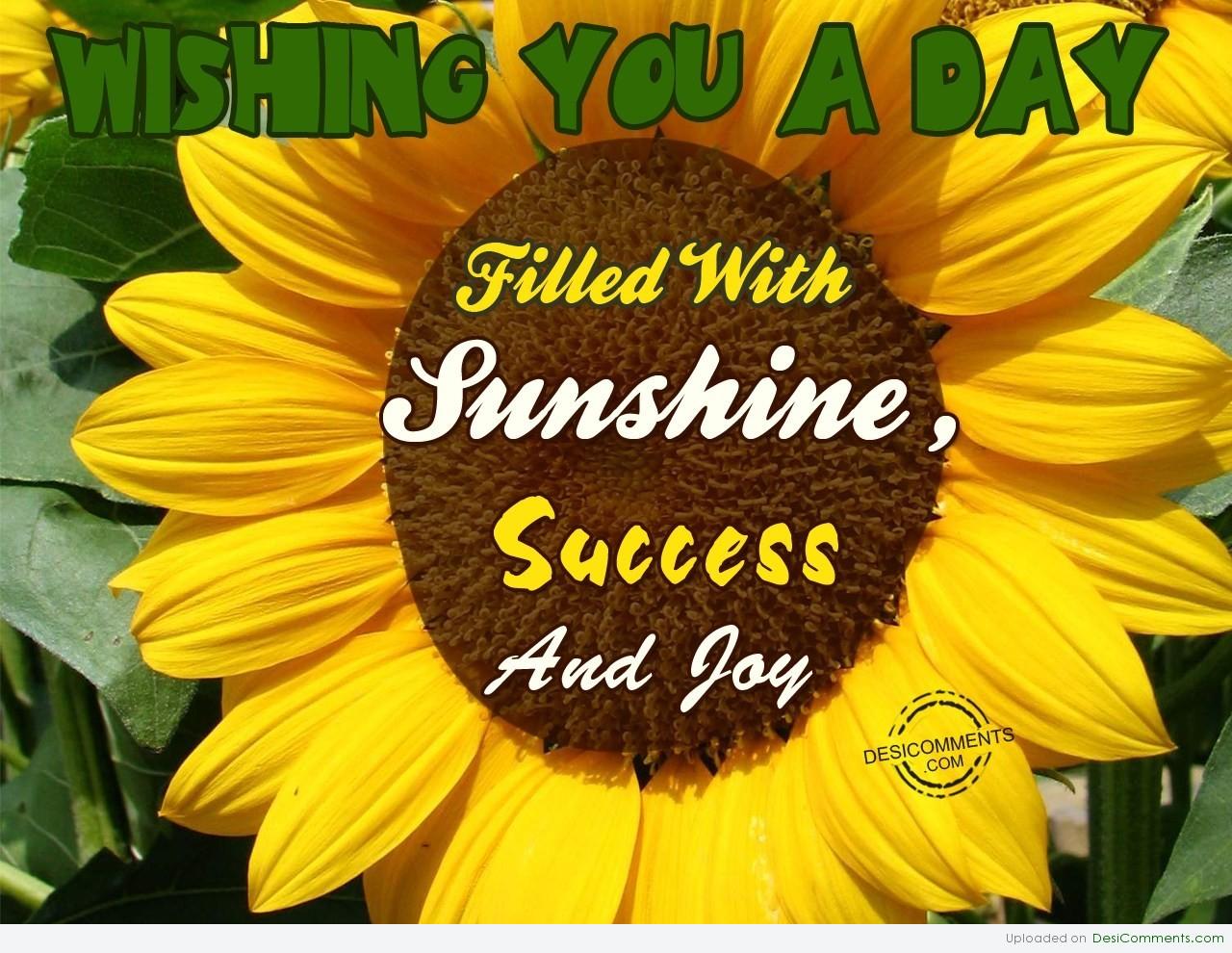 Wishing You A Day Filled With Sunshine - Desi Comments