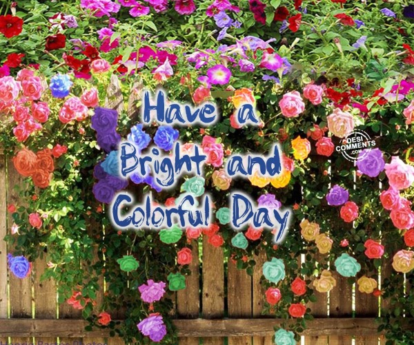 Have a bright and colorful day