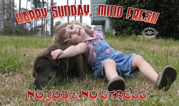 Happy Sunday, Mind Fresh