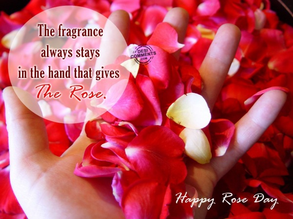 Happy Rose Day – The fragrance always stays…