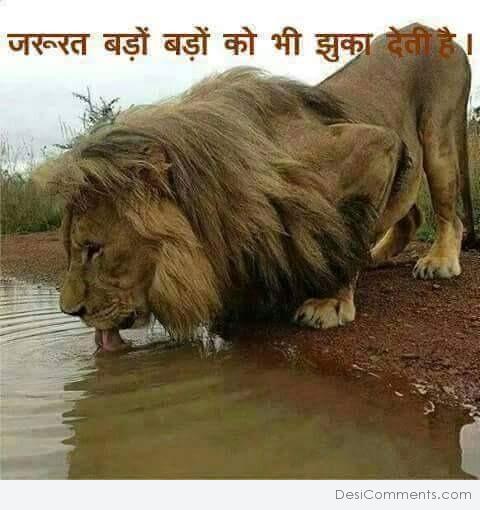 inspiration for the name lion in hindi
