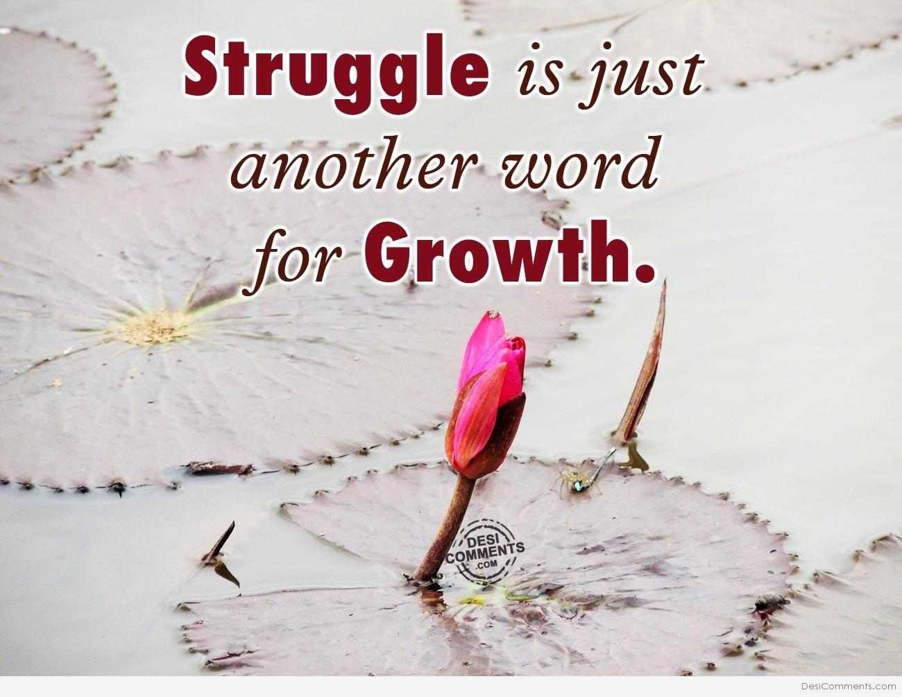 another word for struggle –