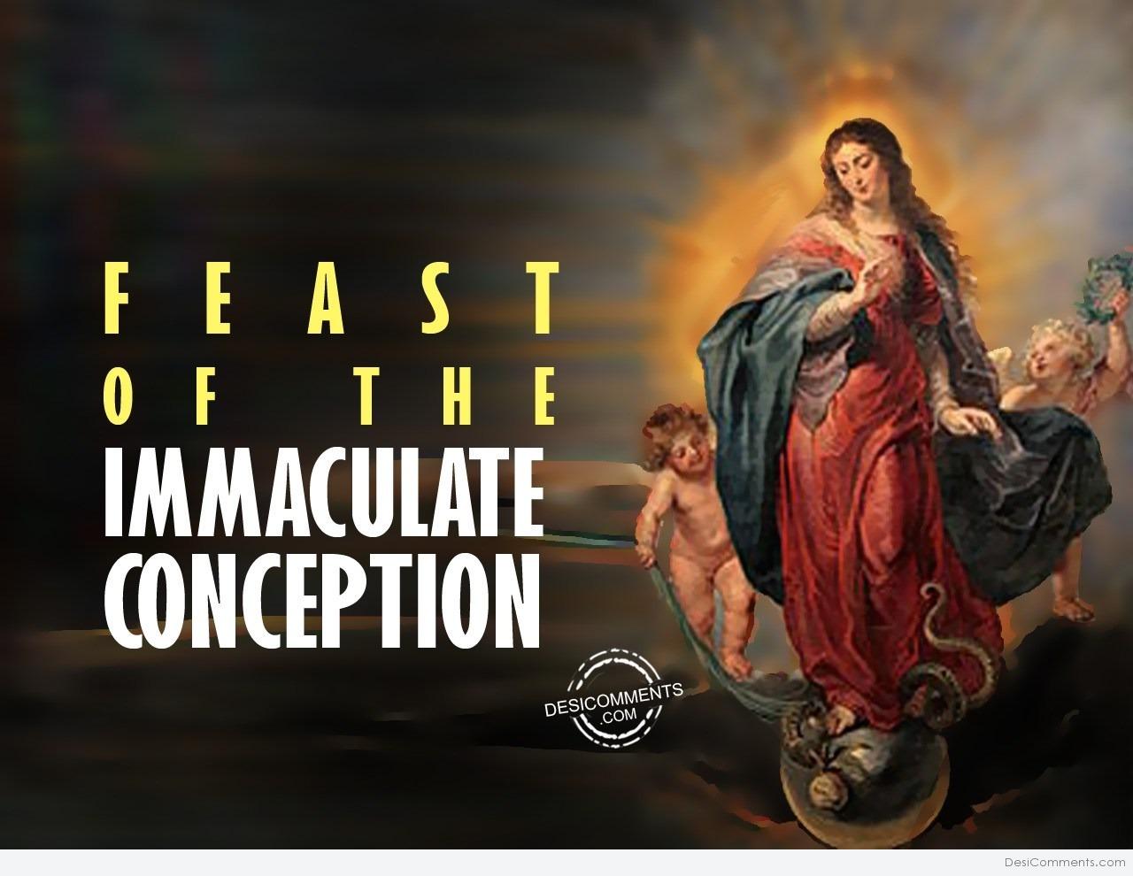 30+ Feast of the Immaculate Conception Images, Pictures, Photos