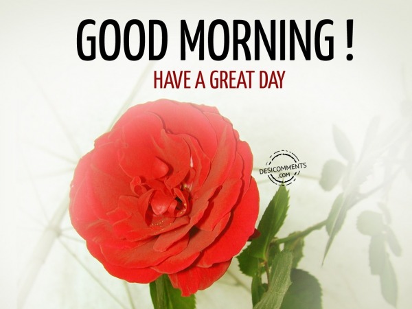 Good Morning – Have A Great Day