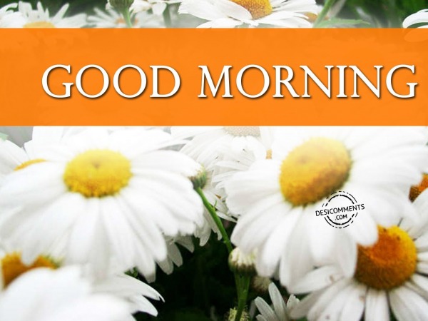 Pic Of Good Morning - DesiComments.com