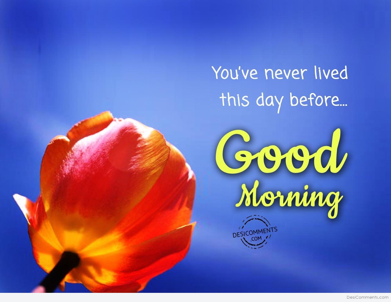 You’ve Never Lived This Day Before – Good Morning - DesiComments.com