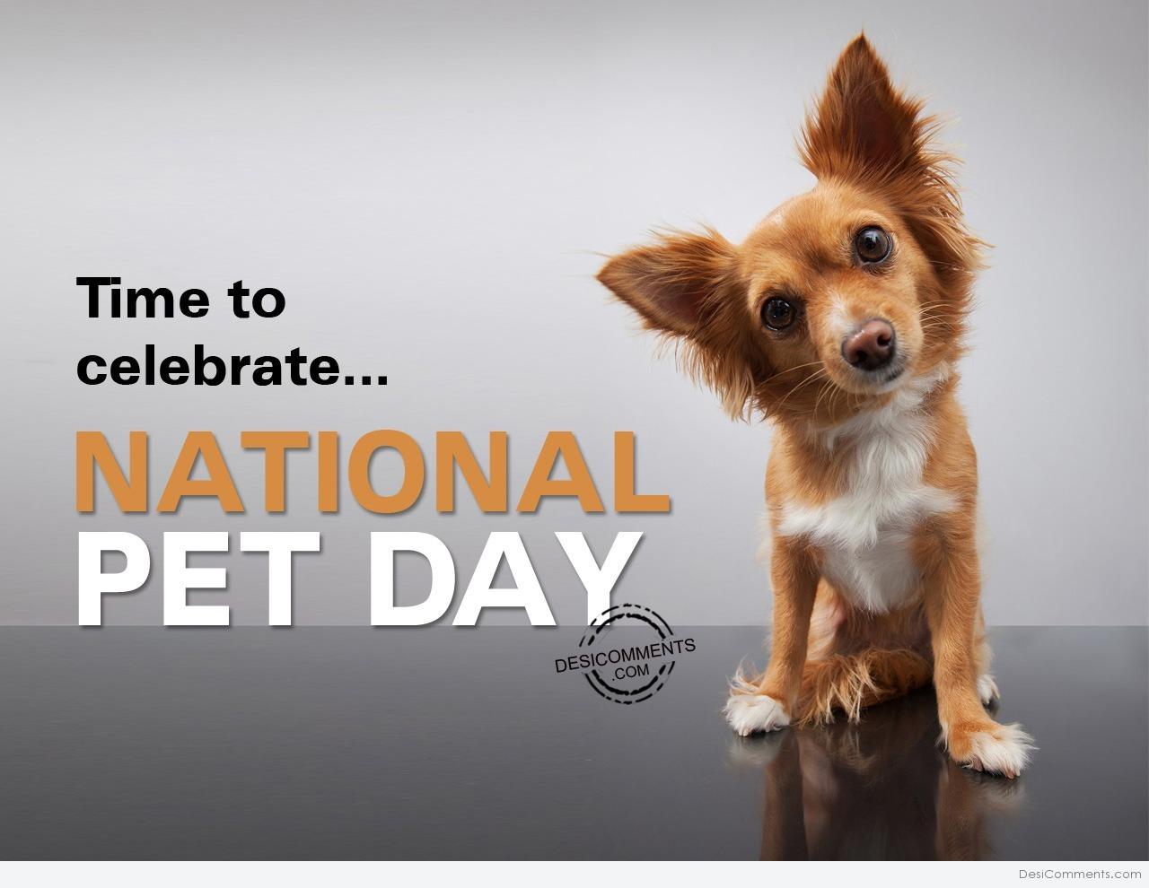 Time To Celebrate National Pet Day DesiComments