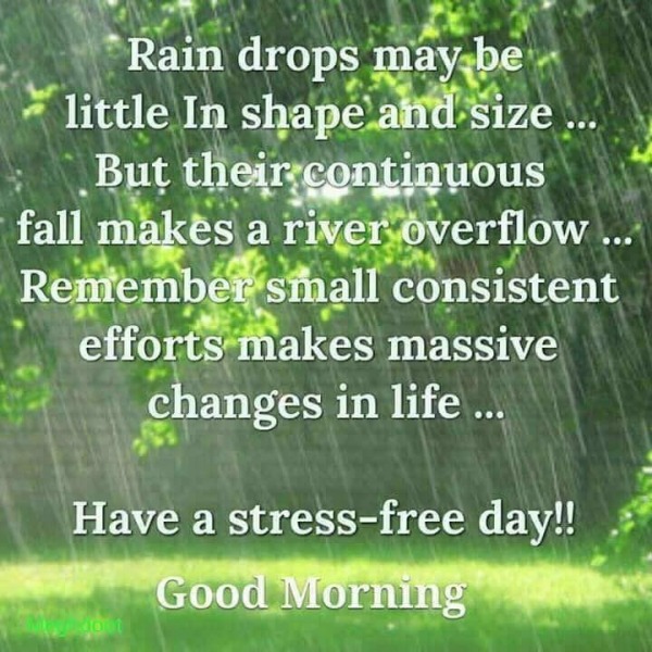 Have A Stress Free Day
