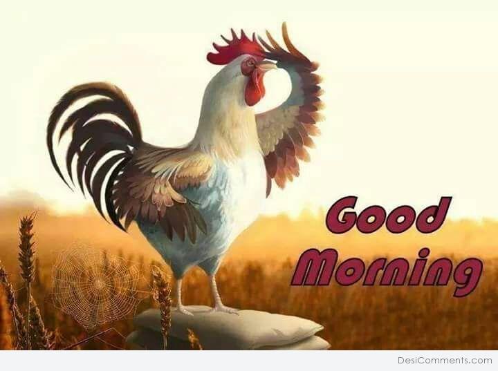 Photo Of Good Morning - DesiComments.com