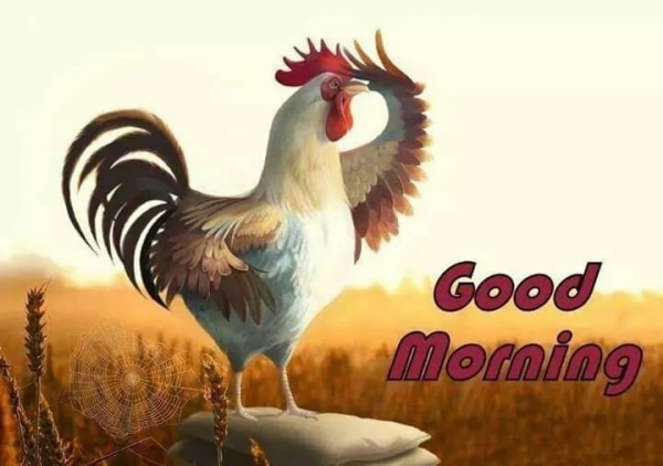 Photo Of Good Morning