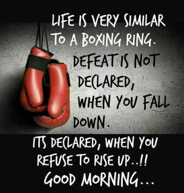 Life Is Very Similar To A Boxing Ring – Good Morning
