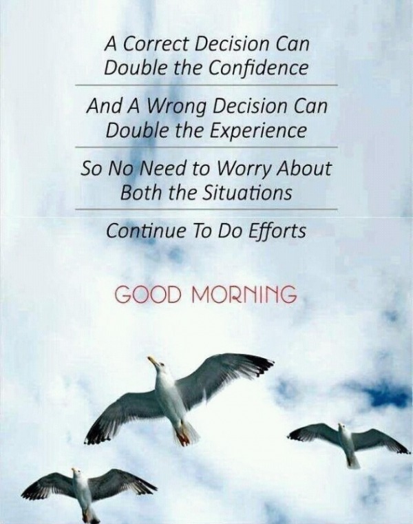 Continue To Do Efforts – Good Morning