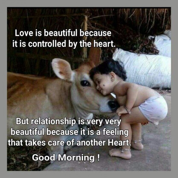 Love Is Beautiful – Good Morning