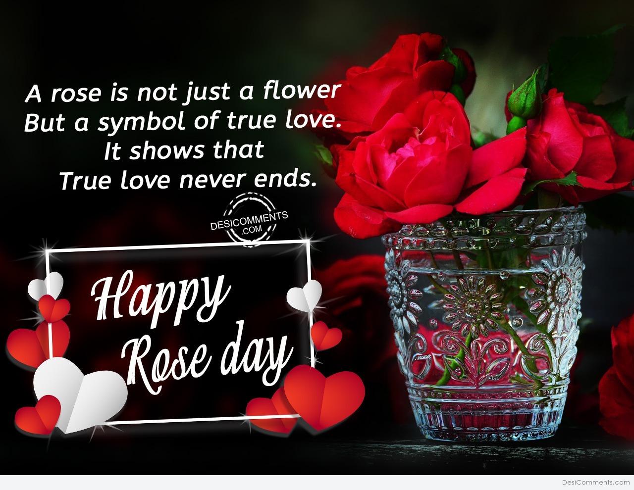 220+ Rose Day Images, Pictures, Photos Page 3