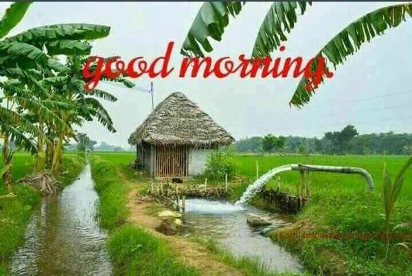 Pic Of Good Morning