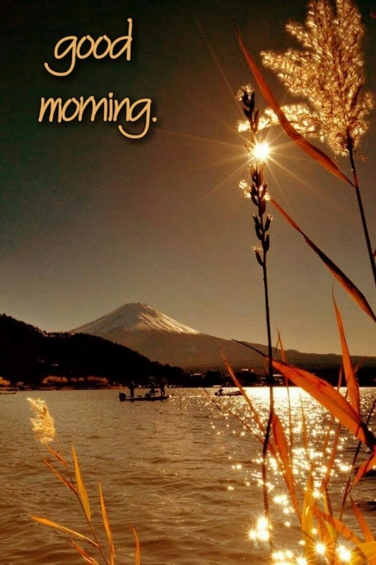 Photo Of Good Morning - DesiComments.com