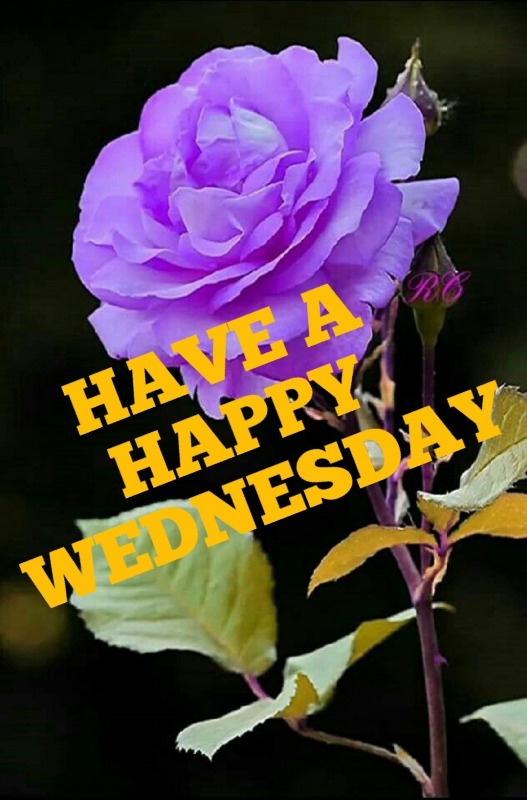 Have A Happy Wednesday