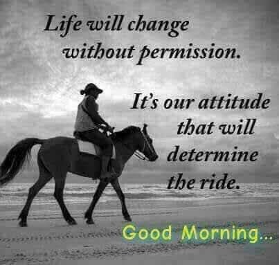 Life Will Change Without Permission - Desi Comments