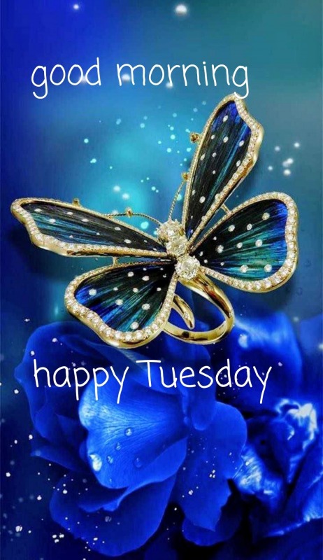 Good Morning Happy Tuesday - DesiComments.com