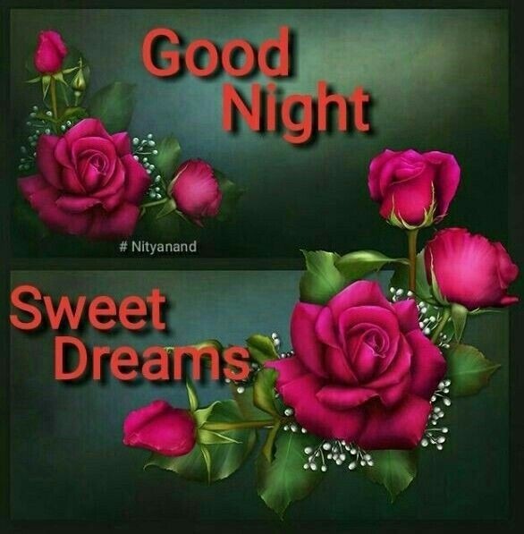 Good Night Sweet Dreams - Desi Comments