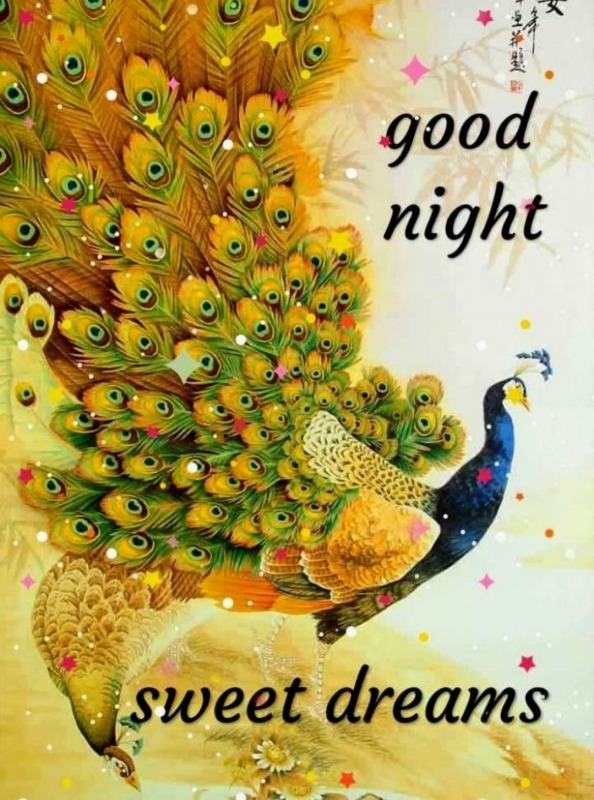 Image Of Good Night - DesiComments.com