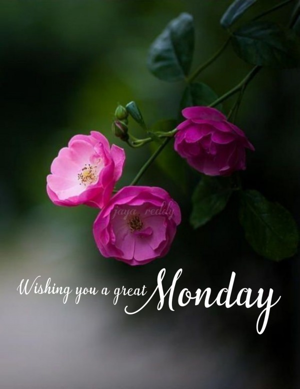 Wishing You A Great Monday - Desi Comments