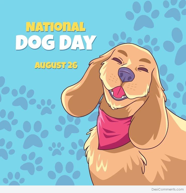 50+ Dog Day Images, Pictures, Photos