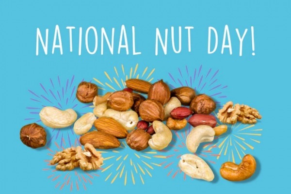 Happy Nut Day Gif - DesiComments.com