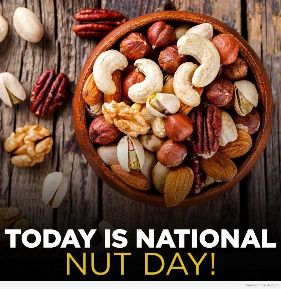 Today Is National Nut Day - Desi Comments