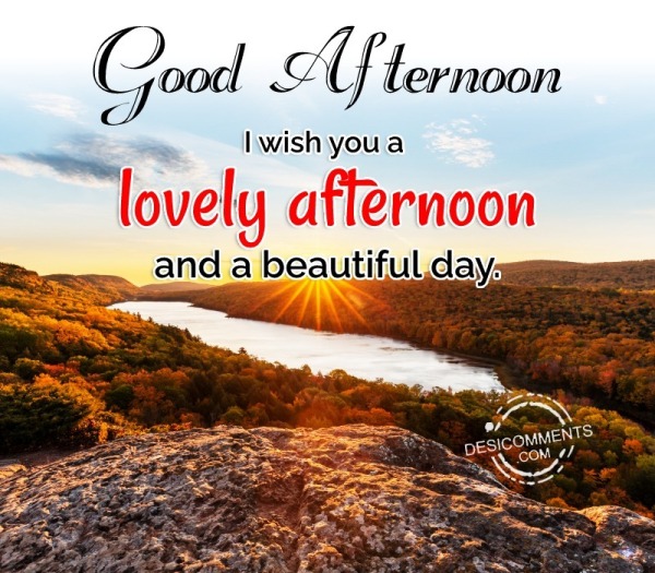 I Wish You A Lovely Afternoon - Desi Comments
